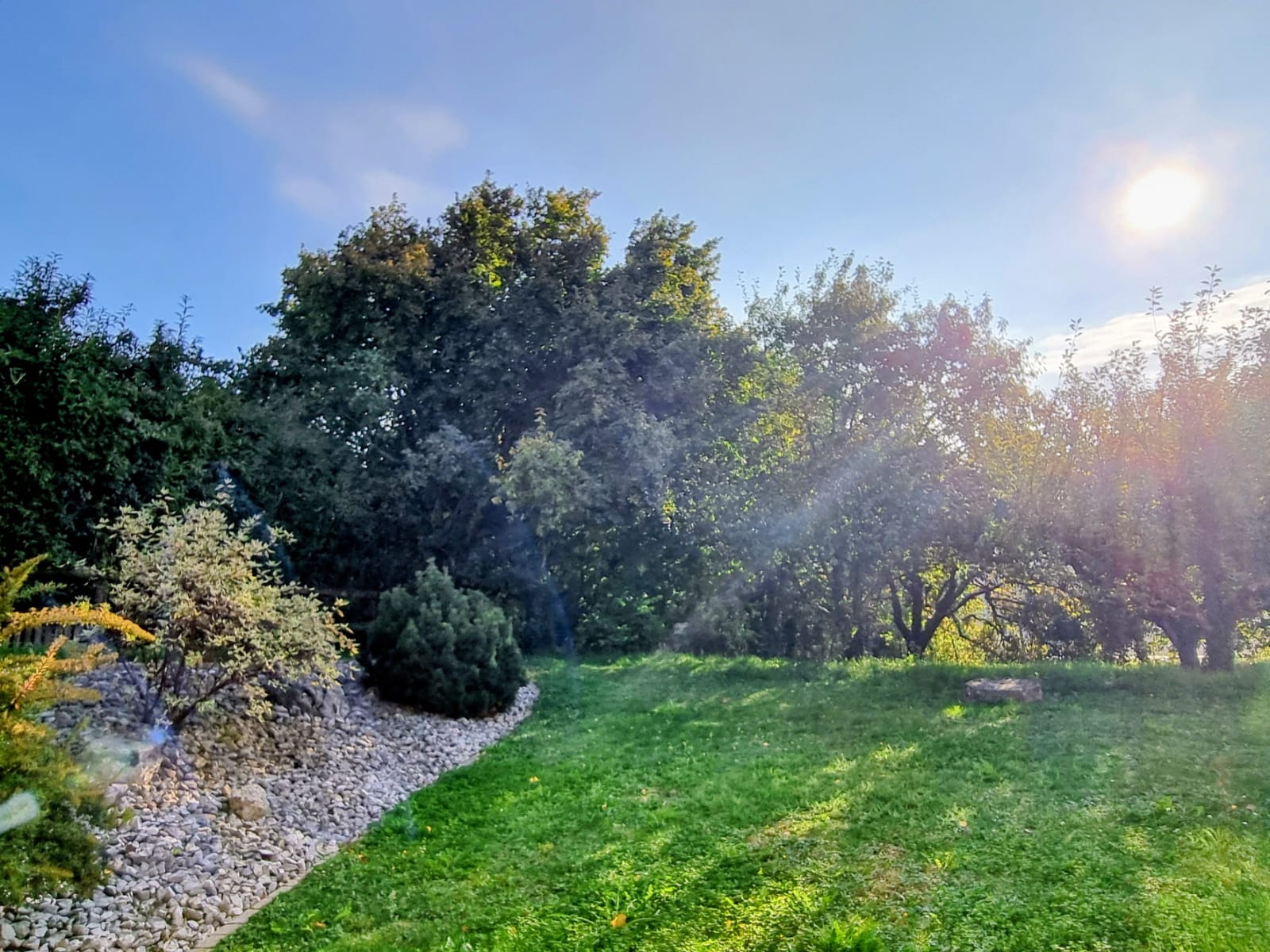 Vue depuis le cabinet “Un cadre apaisant pour reconnecter corps et esprit — en pleine nature, à deux pas de La Sarraz ."